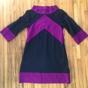 RARE Banana Republic Mod Colorblock Dress